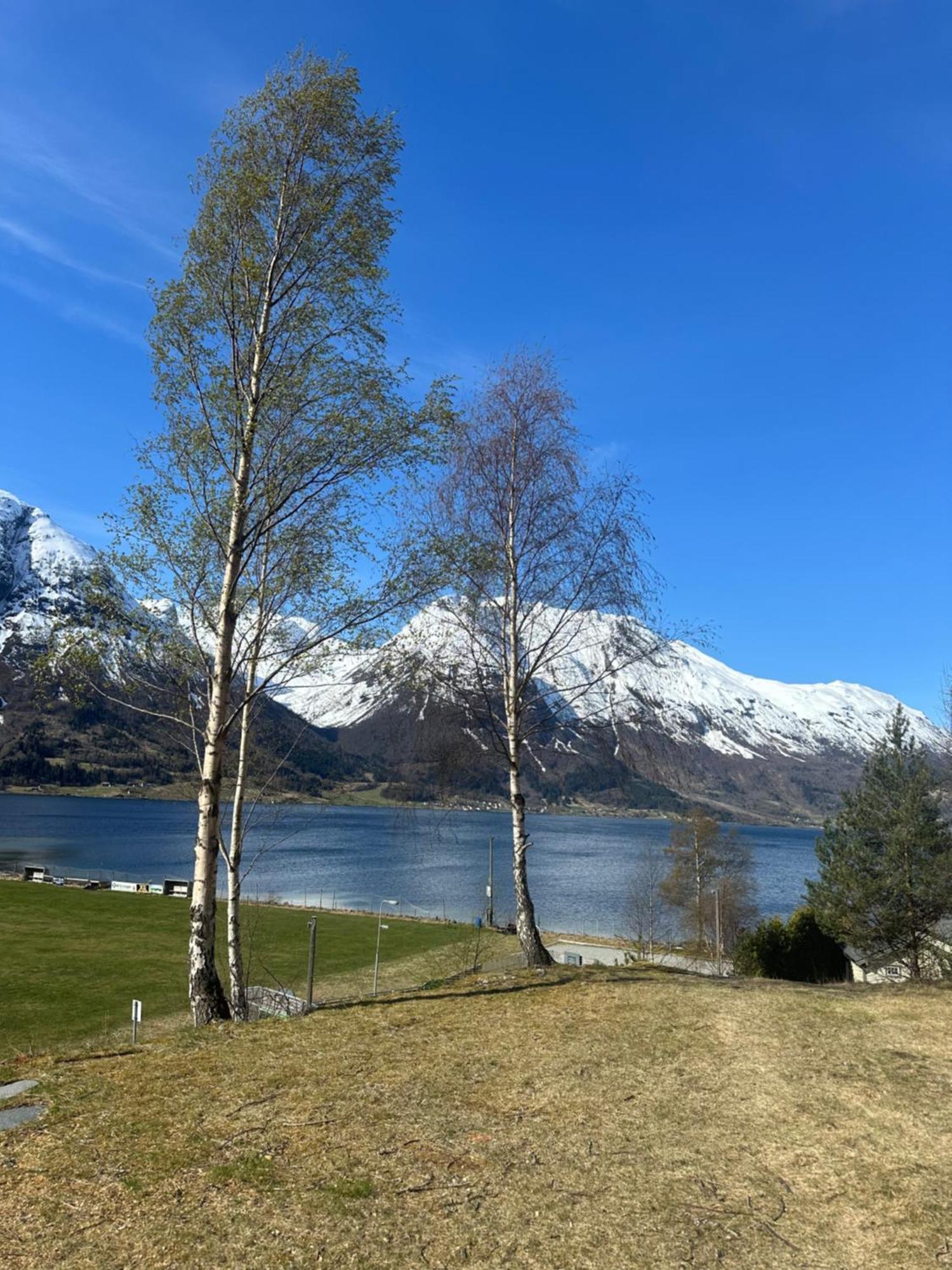 Vollsnes Feriehus Villa Hjelle Buitenkant foto